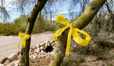 DNA from glove found near home will be added to national database