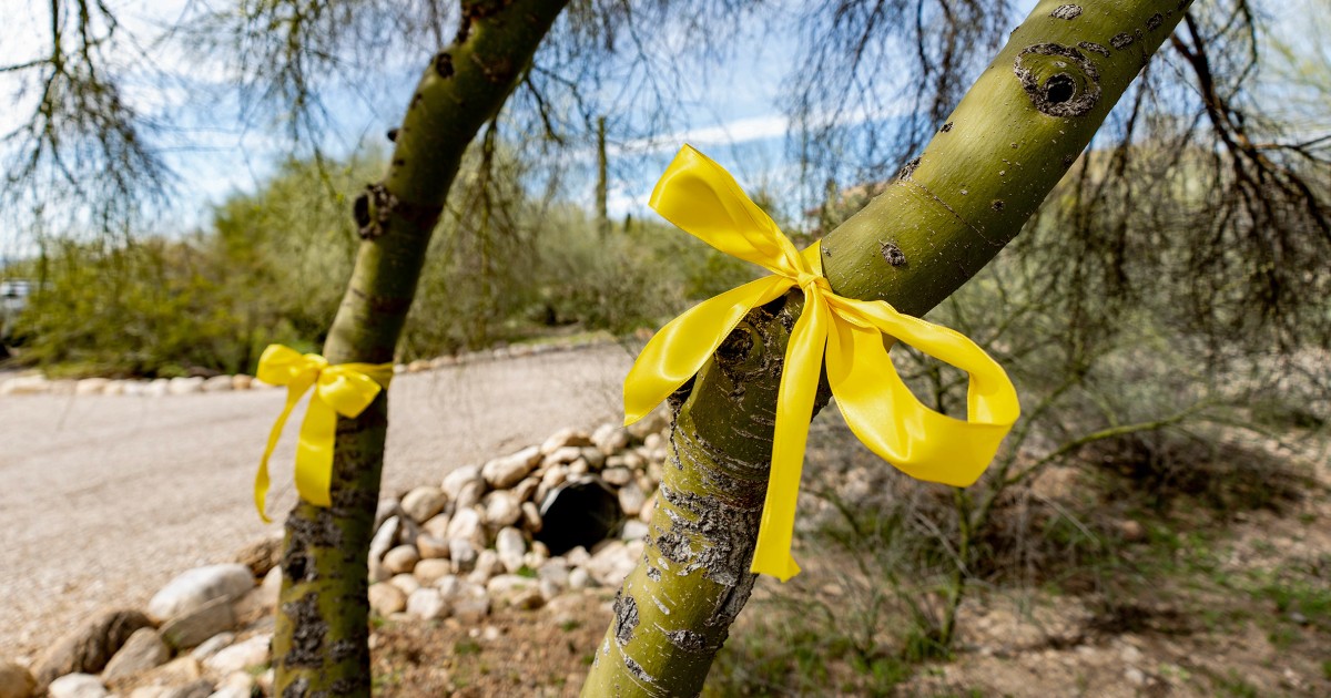 DNA from glove found near home will be added to national database