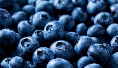 Over 55,000 pounds of blueberries recalled for risk of potentially fatal listeria contamination