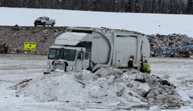 Bald eagles are enjoying a free lunch at the Anchorage Landfill