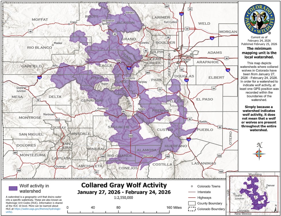 February 2026 gray wolf activity map