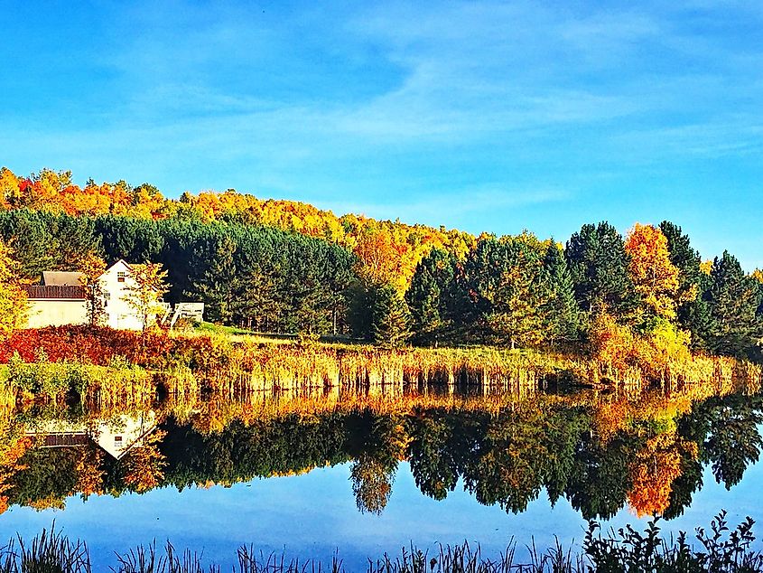 Aroostook State Park, image by Ajay Rana via Flickr.