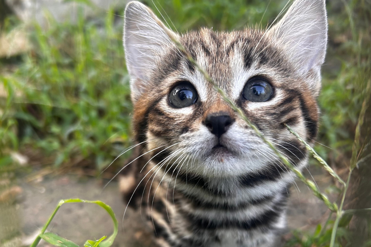 Yahoo lifestyle home