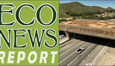 THE ECONEWS REPORT: Wildlife Crossings Help Wildlife and Motorists | Lost Coast Outpost