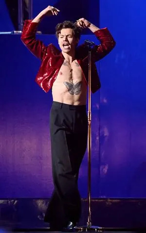 Harry Styles. Dave J Hogan/Getty 