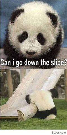 387ef9d6b93a3ce3da6265d0e1a1cc74.jpg 387ef9d6b93a3ce3da6265d0e1a1cc74.jpg