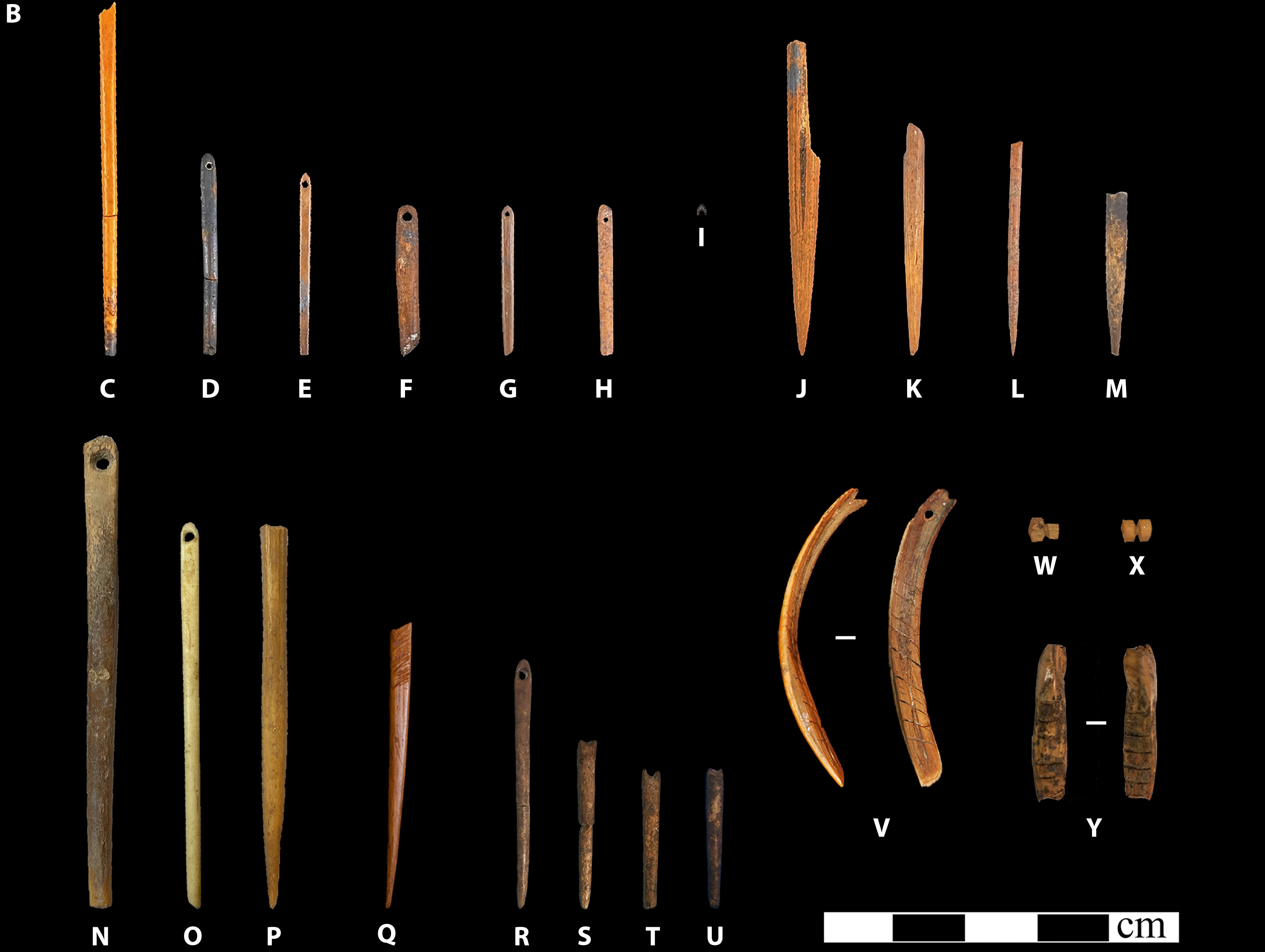 Collection of Pleistocene eyed and eyeless bone needles and adornments