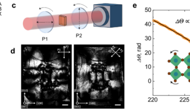 Flexoelectric domain walls enable charge separation and transport in cubic perovskites