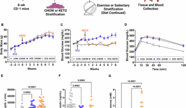 A ketogenic diet enhances aerobic exercise adaptation and promotes muscle mitochondrial remodeling in hyperglycemic male mice