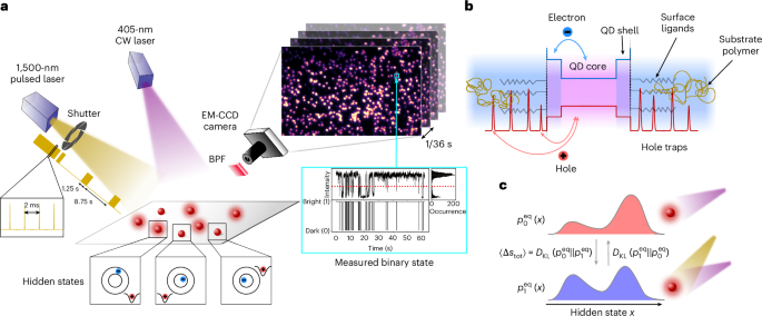 Non-equilibrium entropy production and information dissipation in a non-Markovian quantum dot