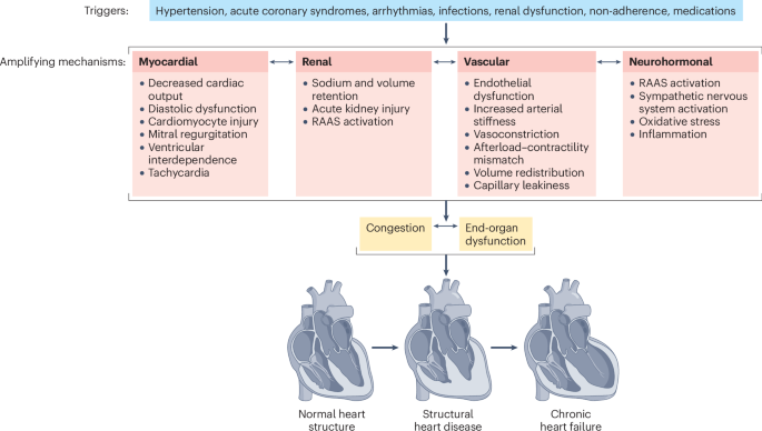The environmental exposome in heart failure risk and progression