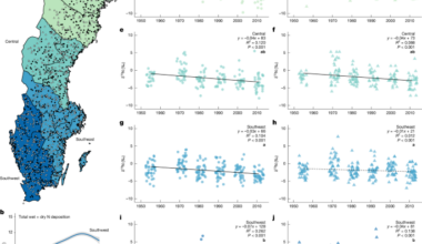 Rising atmospheric CO2 reduces nitrogen availability in boreal forests