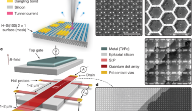 Large-scale analogue quantum simulation using atom dot arrays