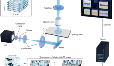 Clinical-grade autonomous cytopathology through whole-slide edge tomography