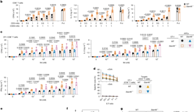 SLAMF6 as a drug-targetable suppressor of T cell immunity against cancer