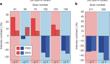 Reply to: Limitations of probing field-induced response with STM