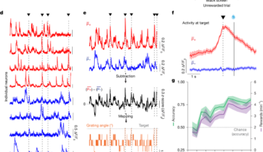 Vectorized instructive signals in cortical dendrites