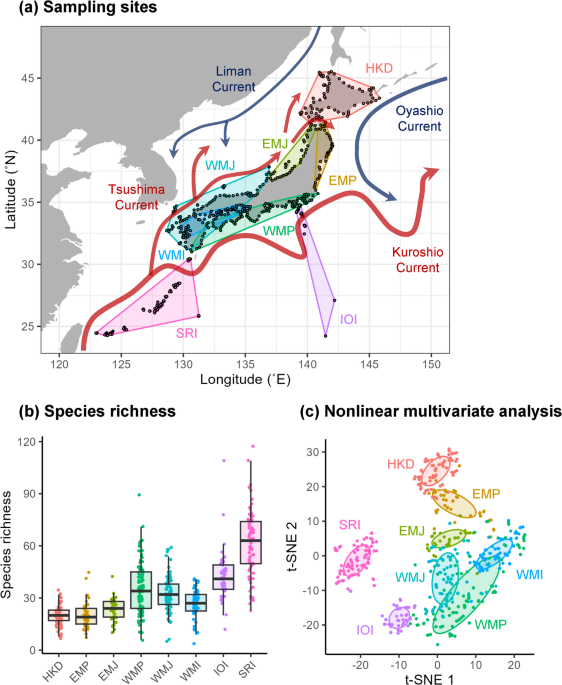 Large-scale environmental DNA survey reveals niche axes of a regional coastal fish community