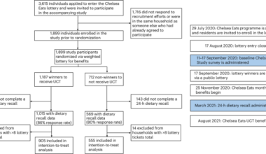 Randomized unconditional cash transfers improved diet quantity and quality in a low-income community in Massachusetts, USA