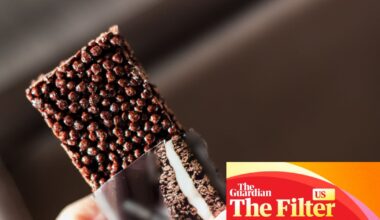 Are protein bars good for you? We asked nutritionists | Life and style