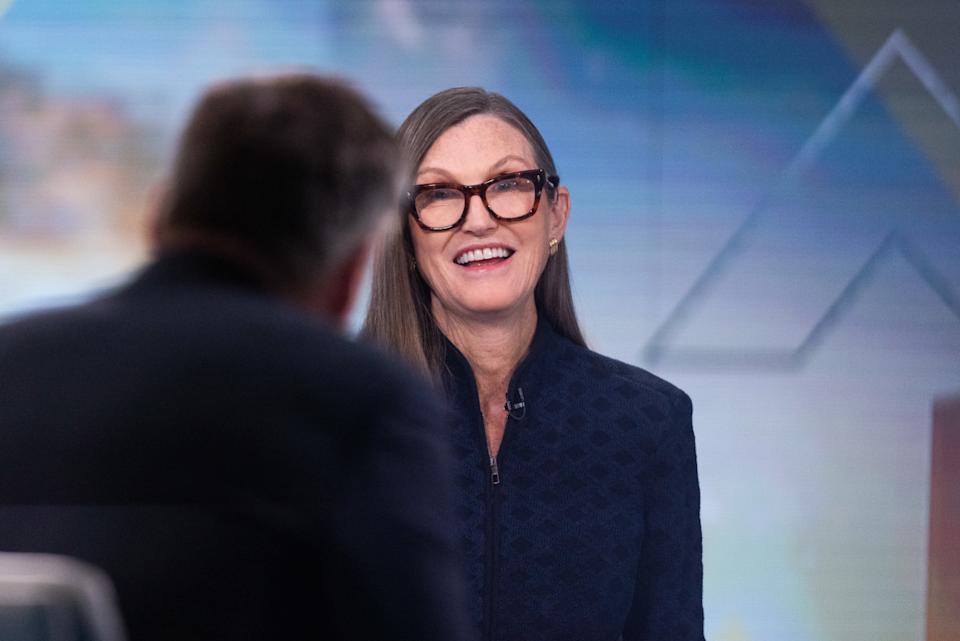 Cathie Wood bought Broadcom and AMD amid renewed volatility in AI stocks.Photo by Bloomberg on Getty Images