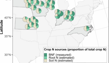 Nitrogen budgets in US soybean-based agroecosystems