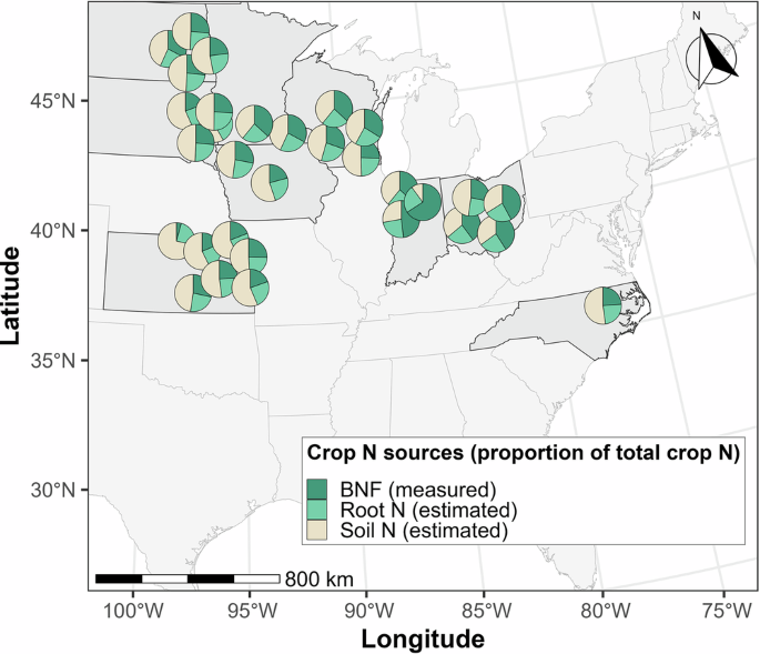 Nitrogen budgets in US soybean-based agroecosystems