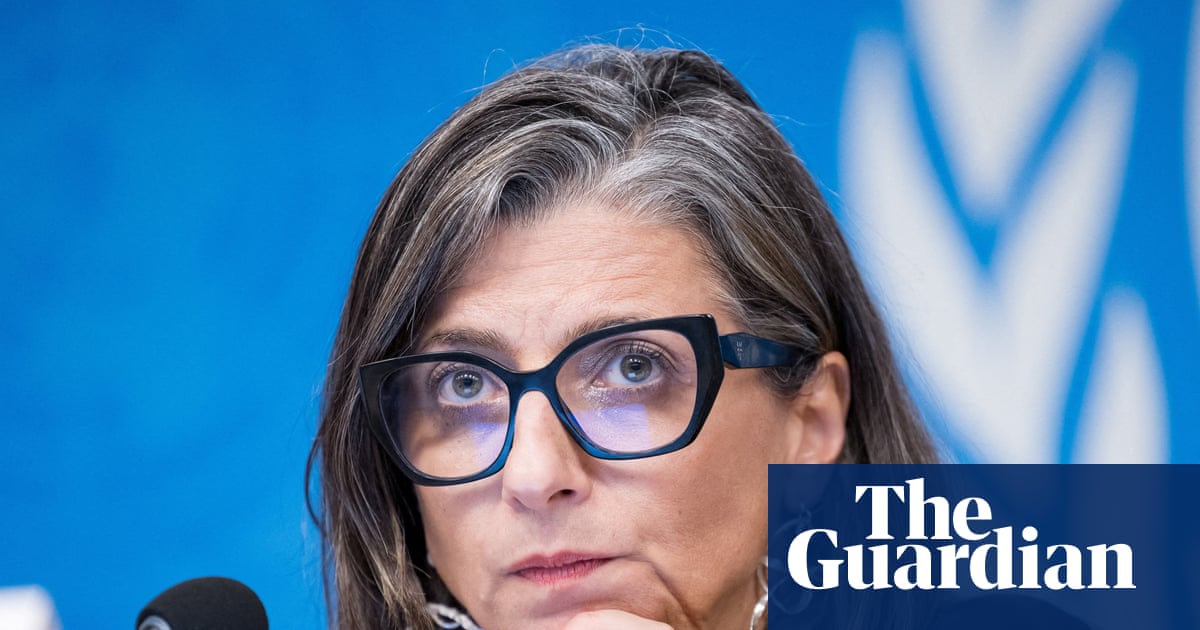 Family of UN official sanctioned by US over Israel criticism sues White House | United Nations