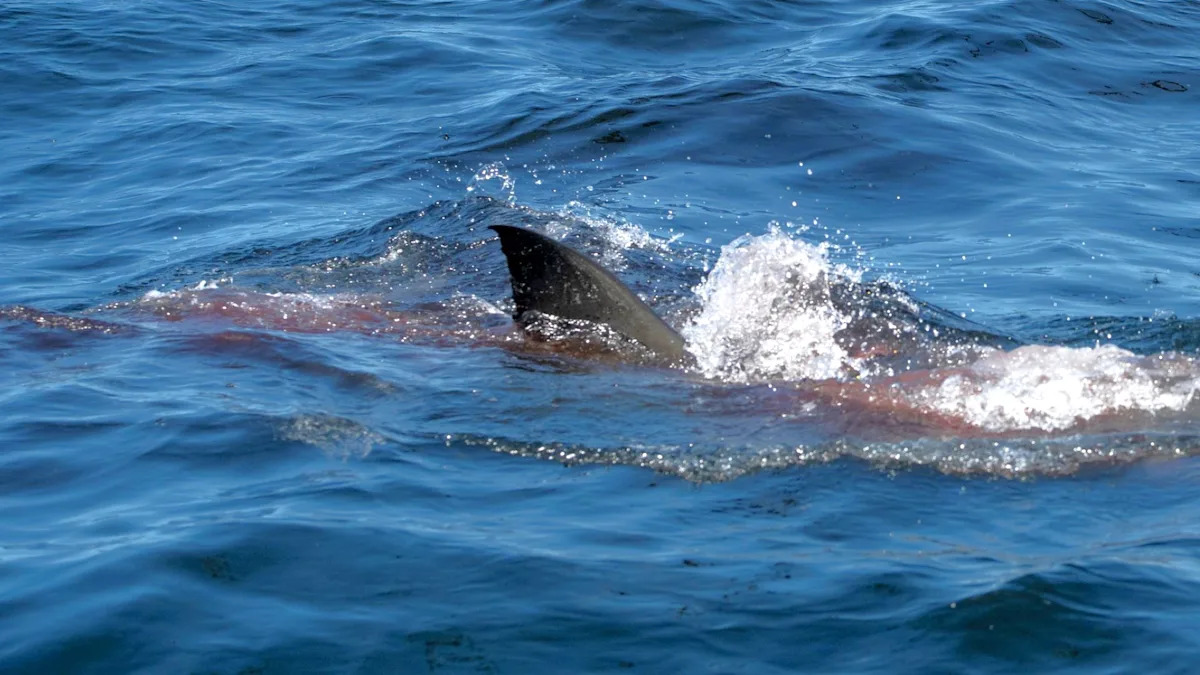 Yahoo lifestyle home