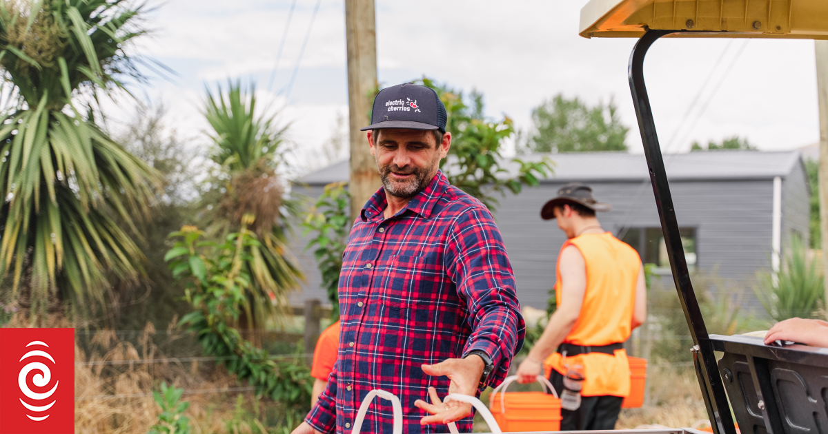 Better to burn Huntly's 'giant mountain of coal' than import, renewable energy advocate says