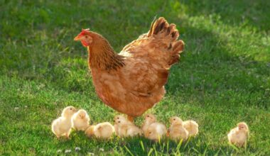 Yahoo lifestyle home