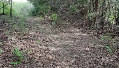 Yahoo lifestyle home