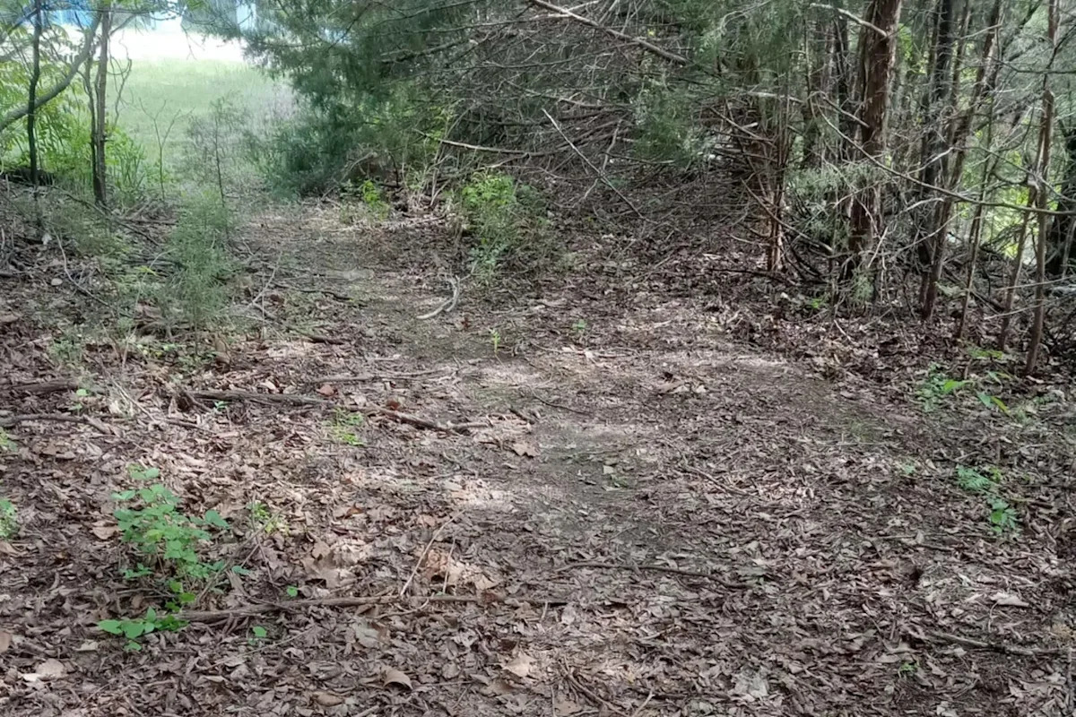 Yahoo lifestyle home