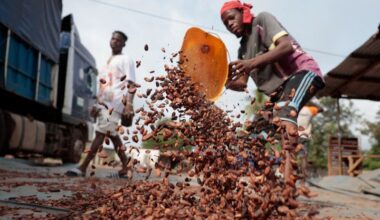 Exclusive-Ivory Coast considers following Ghana with cocoa price cut, sources say