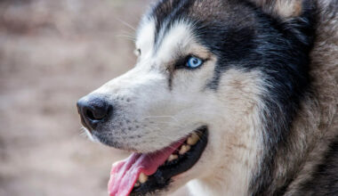 Yahoo lifestyle home