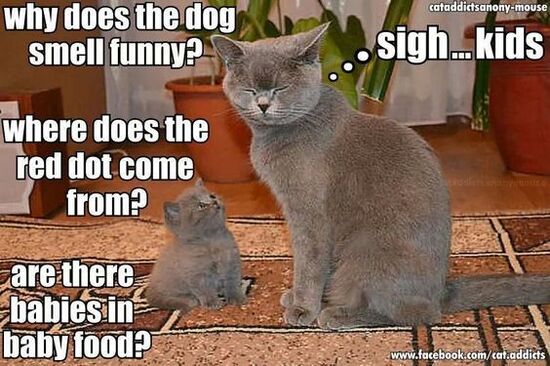 595de3d796365f4fb4ac00546c60f685.jpg 595de3d796365f4fb4ac00546c60f685.jpg