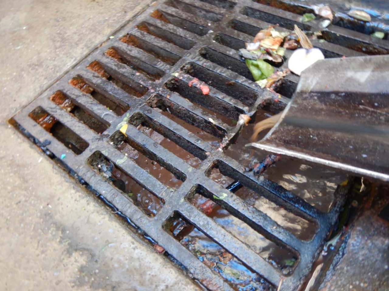 Elizabeth River tributary pollution report