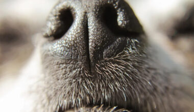 Yahoo lifestyle home