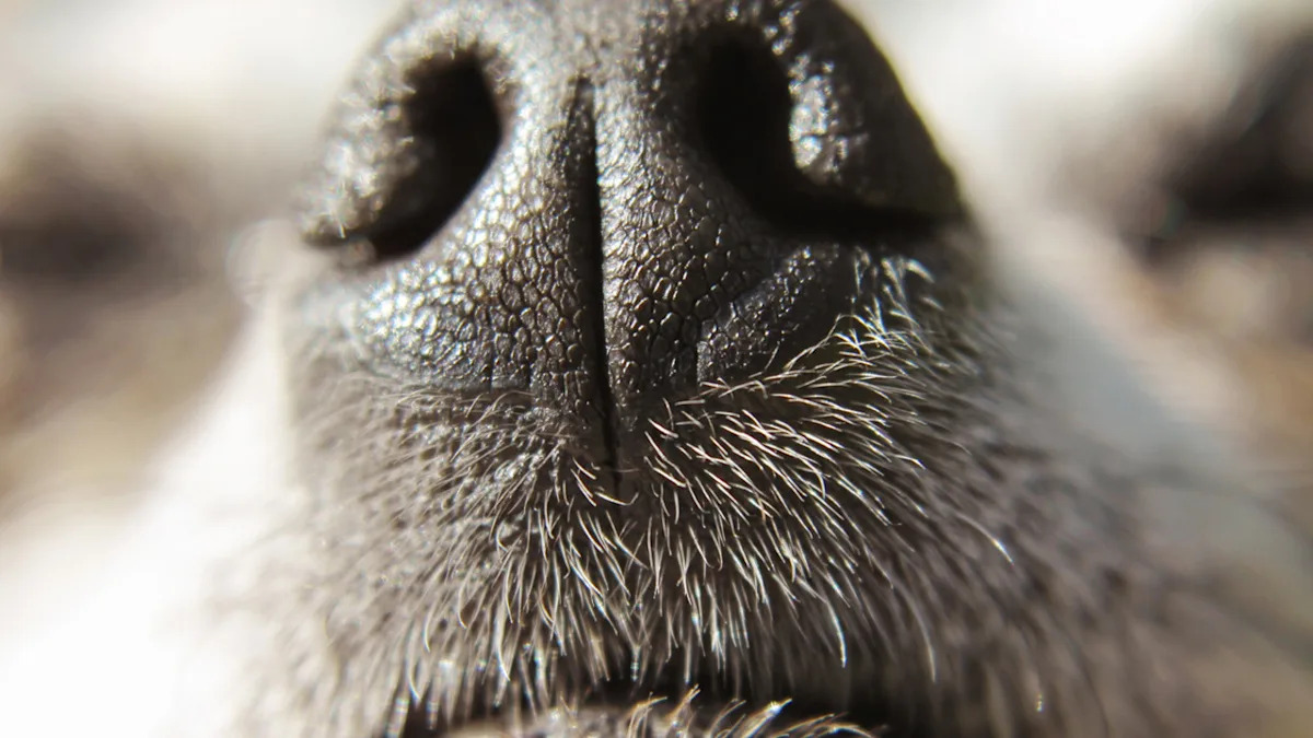 Yahoo lifestyle home