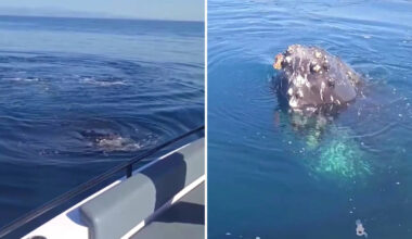 Yahoo lifestyle home