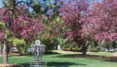 Johnny Roberts Disc Golf Course in Arvada.
