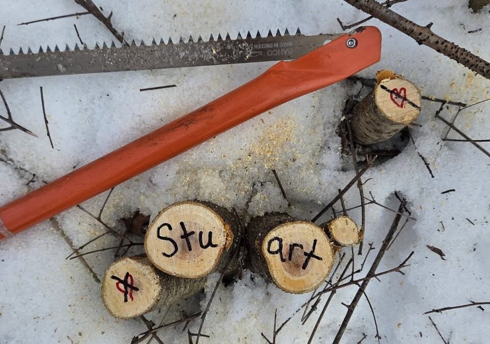 A saw and cut tree branches lie on snow; the cut surfaces show hearts and the word Stuart written in marker.