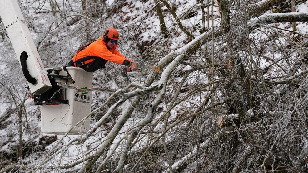 Austin Bradbury uses a chainsaw to remove a tree above a road Friday, Jan. 30, 2026, in Nashville, Tenn. (AP Photo/George Walker IV)