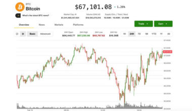 BTC steadies at $67,000 as traders pay for crash protection