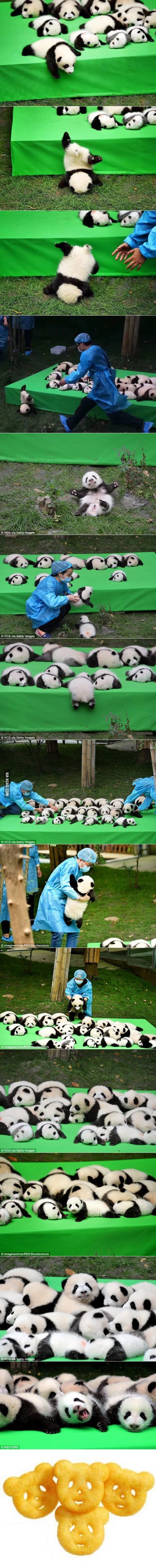 64bbacf8000c0db9caab9fbb0e5af4bd.jpg 64bbacf8000c0db9caab9fbb0e5af4bd.jpg