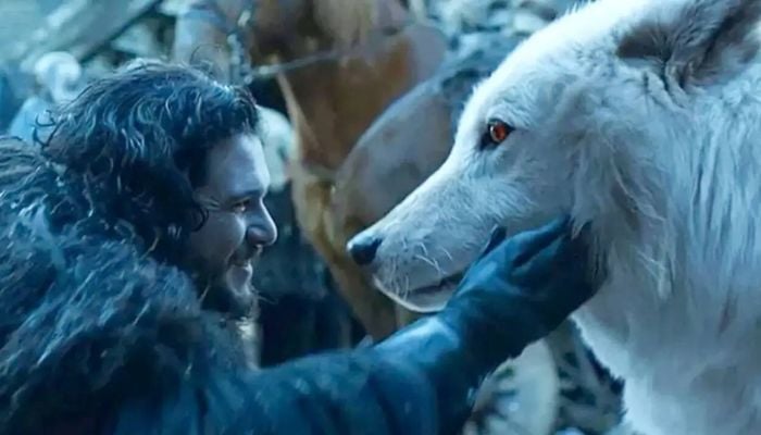 Dire wolves featured in HBO series Game of Thrones