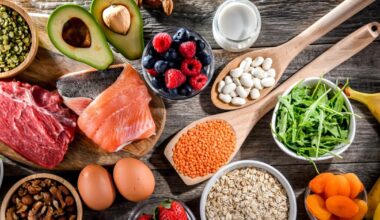 An upside-down food pyramid flips the U.S. nutrition advice - St. George News