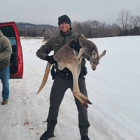 Nelson County officials safely capture injured kangaroo - CBS 19 News