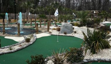 Sea Island Golf & Arcade mini golf opens on Johns Island