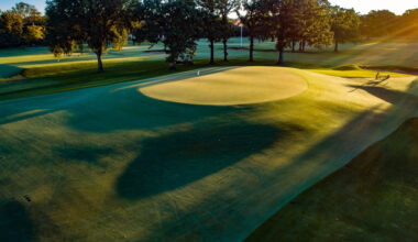 LinksDAO Struggles to Deliver on Promises